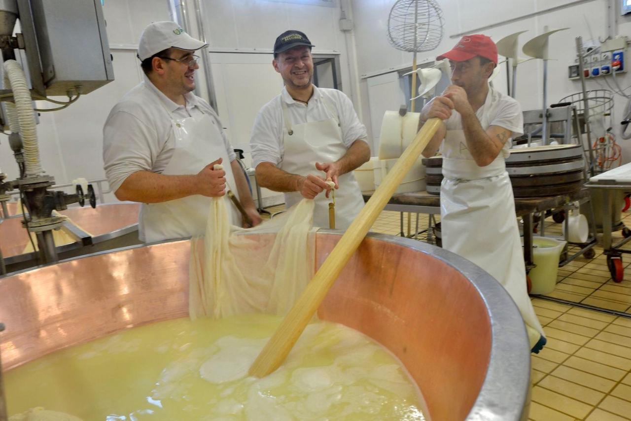 Il Brugnolo Scandiano
